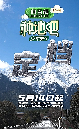 风铃魔法社海报